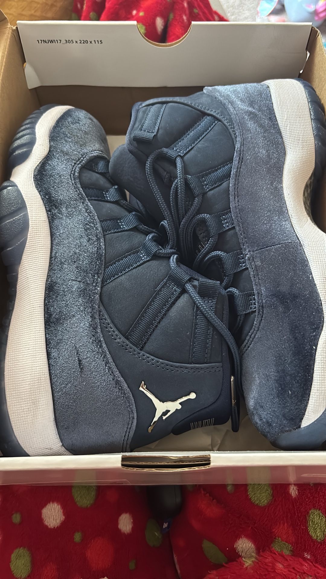 Velvet Jordan 11