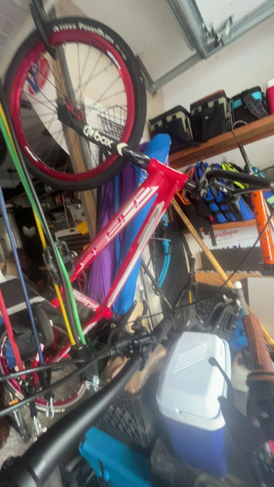 chase bmx bike