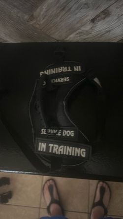 Free x-small service dog in training harness