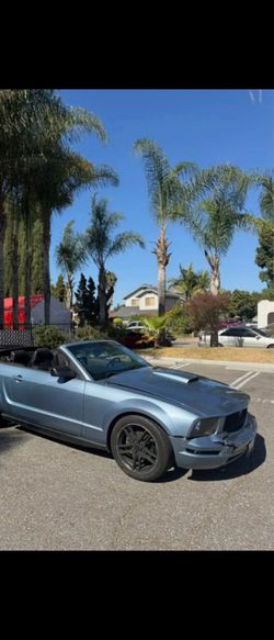 2006 Ford Mustang