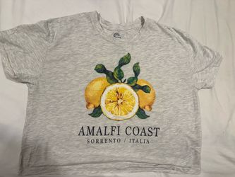 Gray Amalfi Coast cropped tee