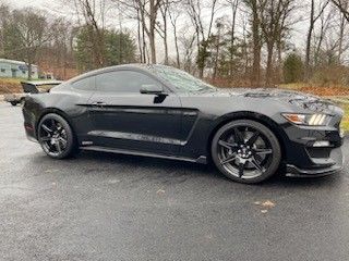 2016 Ford Shelby Gt350