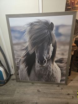 Horse Photo Wall Art