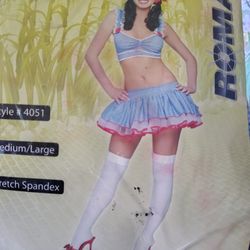 Dorothy Costume