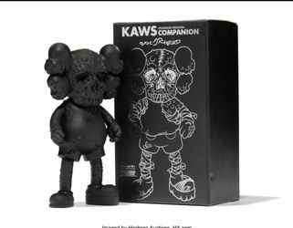 Kaws Pushead Black