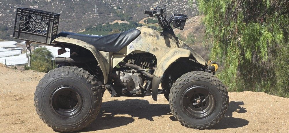 Suzuki LT230 Quadrunner ATV 