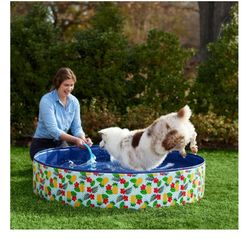 Dog Swimming Pool