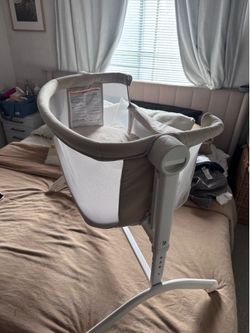 Baby delight baby bassinet