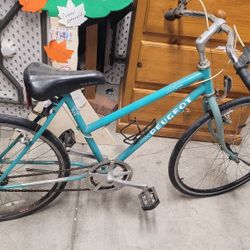 bike $100