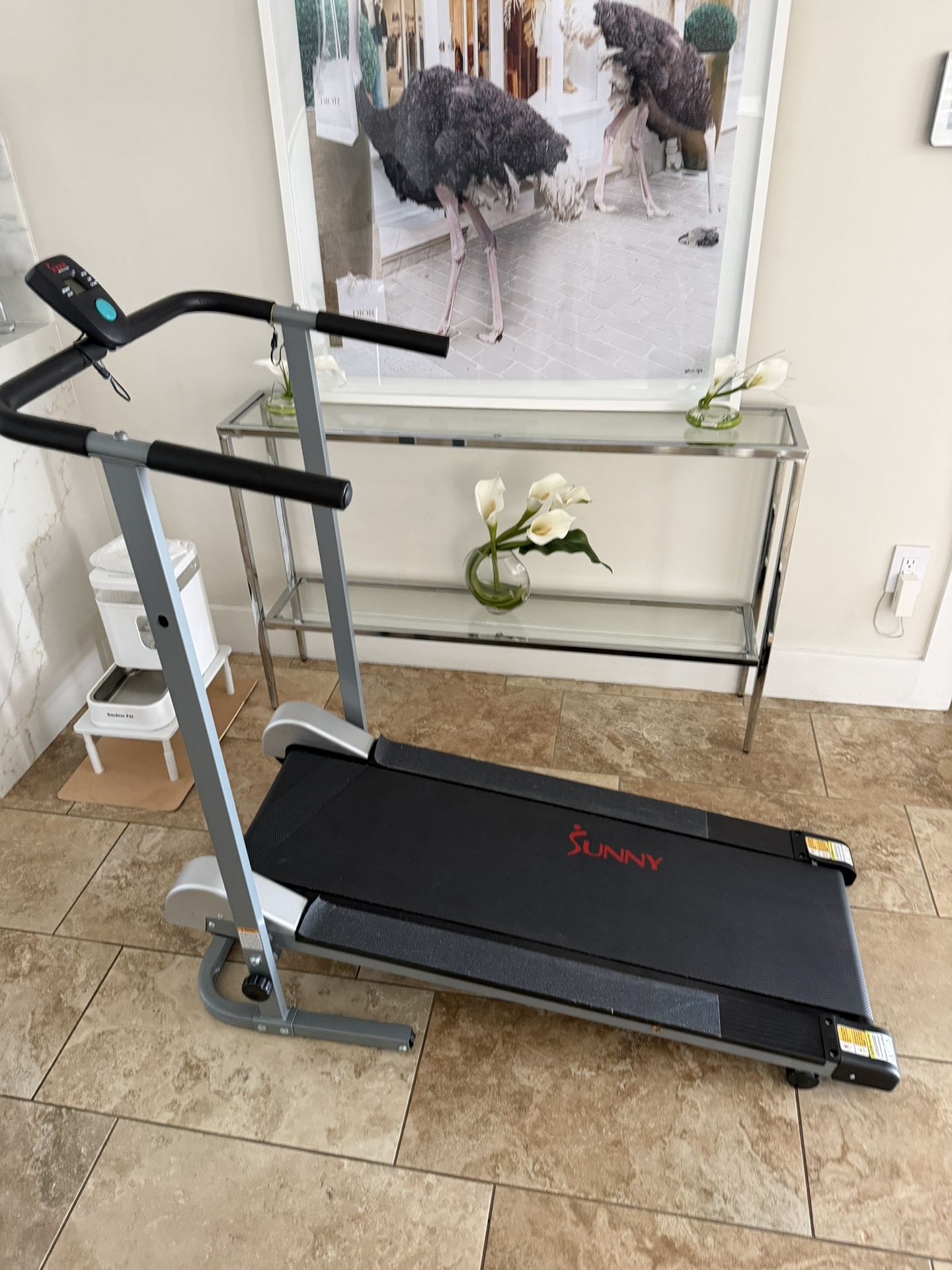 Treadmill (not electric ) Great Condition