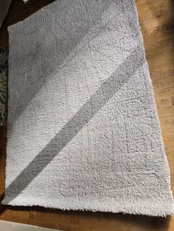 Large Beige Shag Rug 