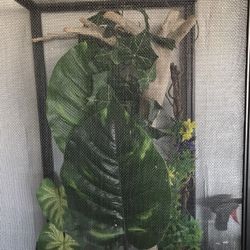 Chameleon Cage