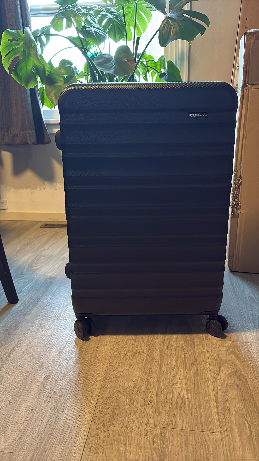 Amazon Basic Luggage