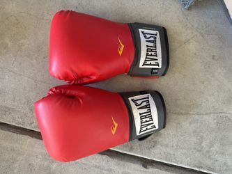 16oz Boxing Gloves
