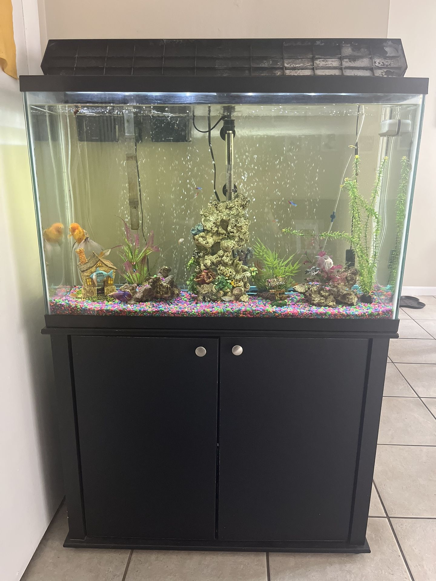 Fish Tank With Stand Ready To Use It. 