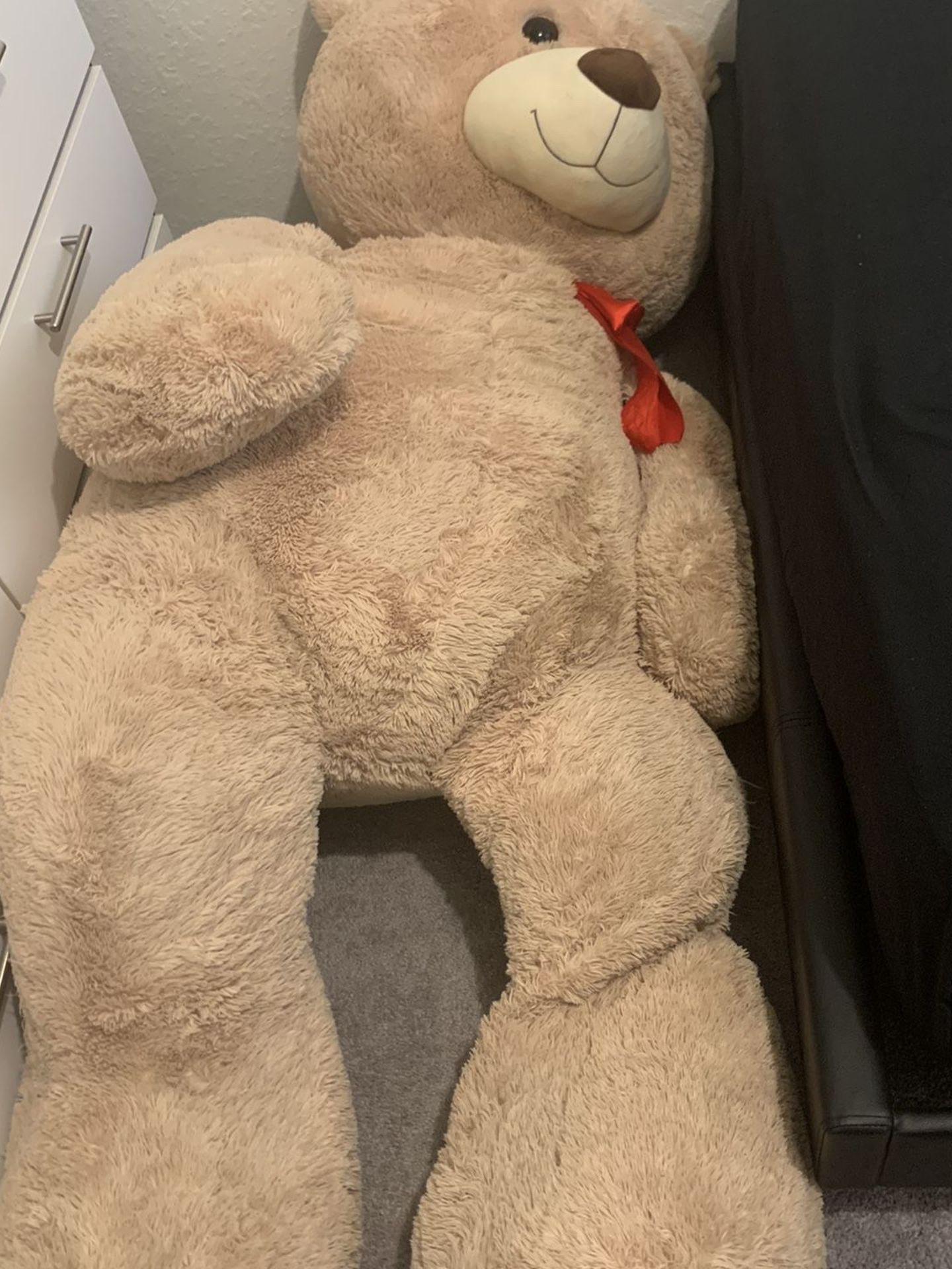 Huge Teddy Bear !!