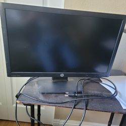 Computer Monitor - HP Pro Display P222va