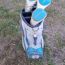 Cobra Golf Bag