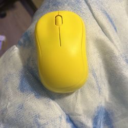 Computer Mouse 