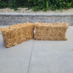 2 Decorative Straw Bails 