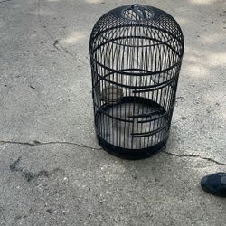 Old Bird Cage