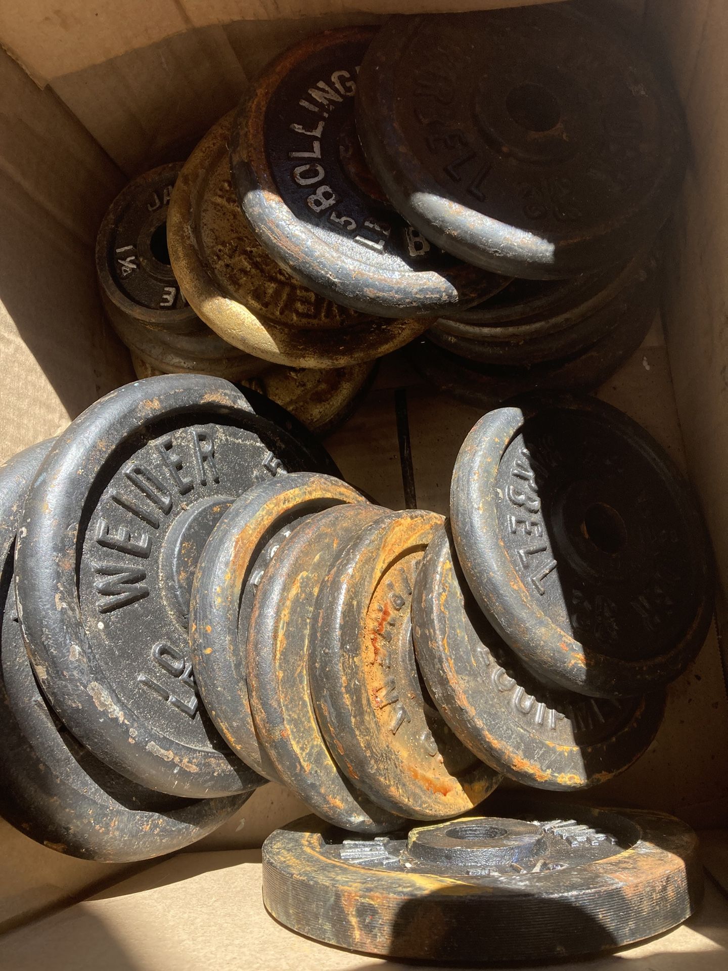 Vintage Cast Iron Weight Plates β 110 lbs (Weider, Jack LaLanne, Bollinger