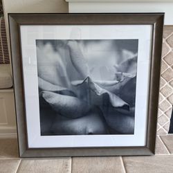 Black And White Photography &frame $75