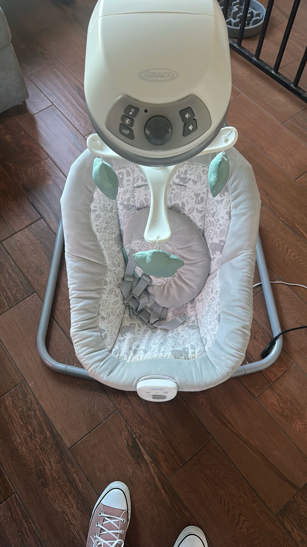 Graco Swing