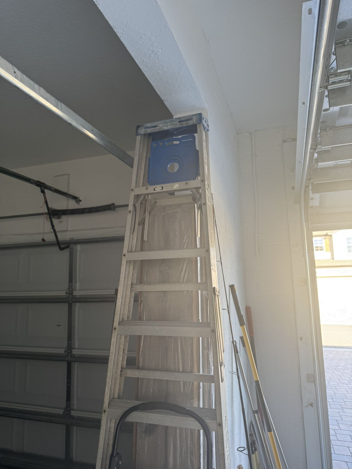 Werner Ladder 