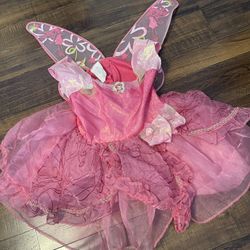 Fairy Costume