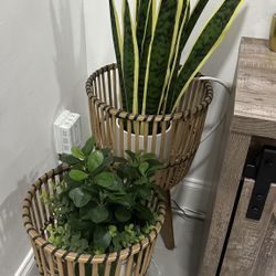 Set Of Decorative Plant Holder