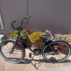 Beach Cruiser Bike