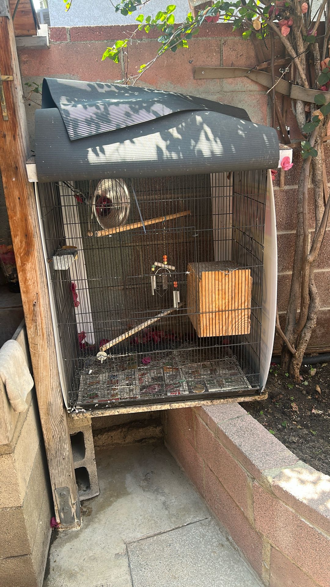 Bird Cages