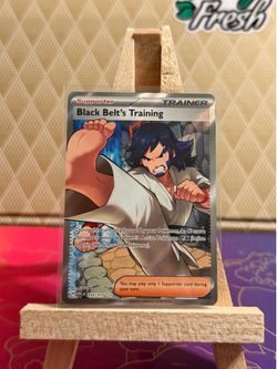 Belt’s Training 255/217