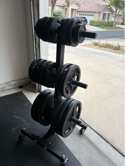 Olympic plates VTX with Rogue Fitness Weight tree 515lbs