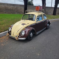 vw bug
