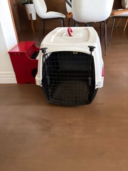large pet crate
