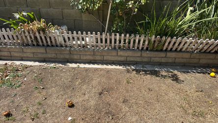 Free fencing it goes around the whole backyard