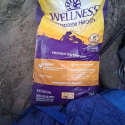 Great Dog Food For Many Healthy Reasons They  Really Love This Food