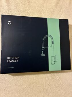 Kitchen Faucet with Pull-Down Sprayer