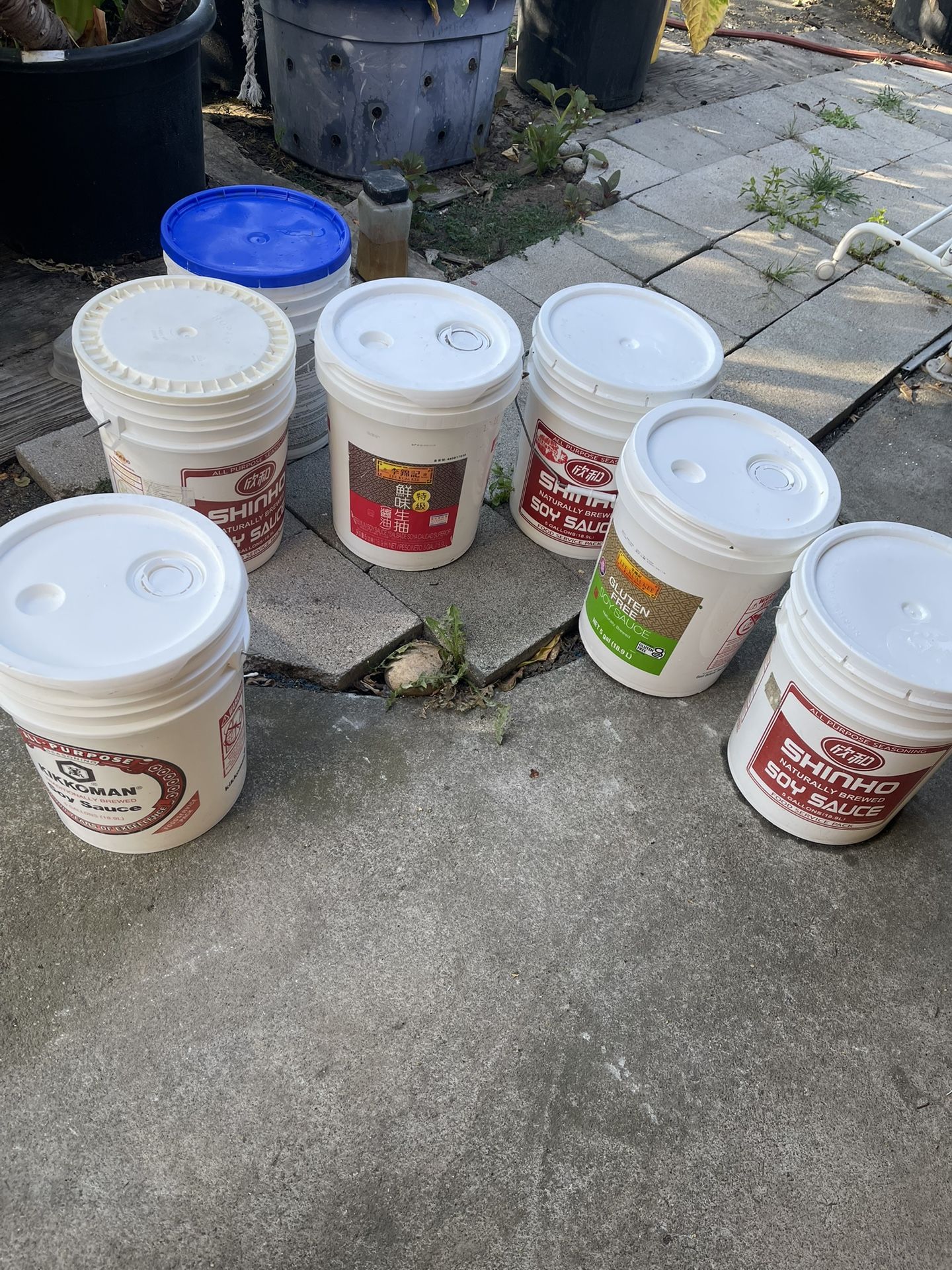 Buckets 5 Gallons