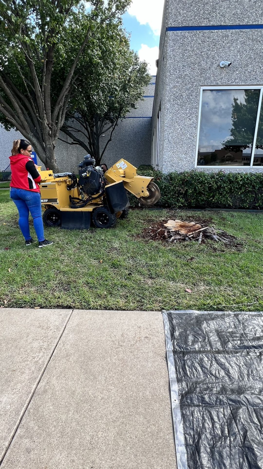 Stump Grinding