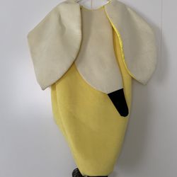 Banana Costume 