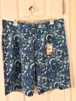 Robert Graham Paisley Shorts Size 36