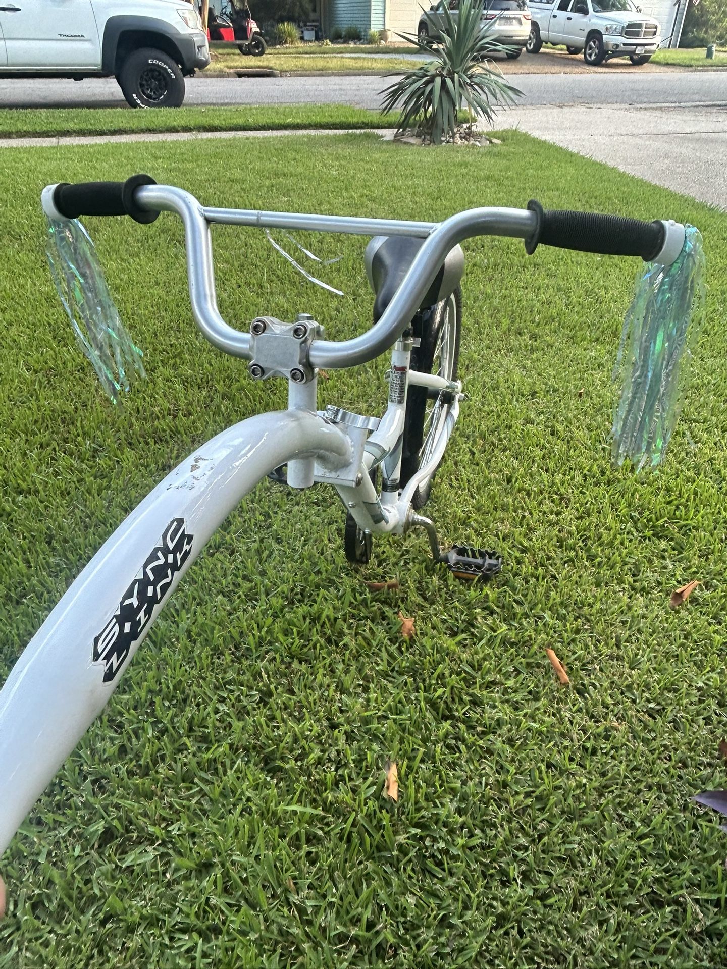 Co-Pilot Bike Trailer Weeride Pull Behind