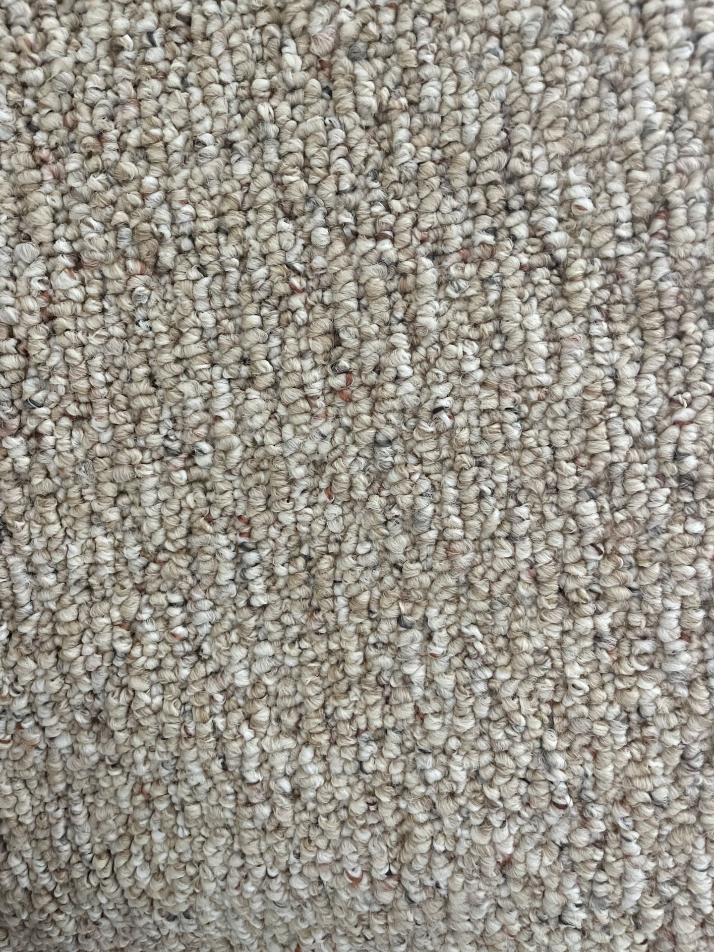 Carpet Remnant 