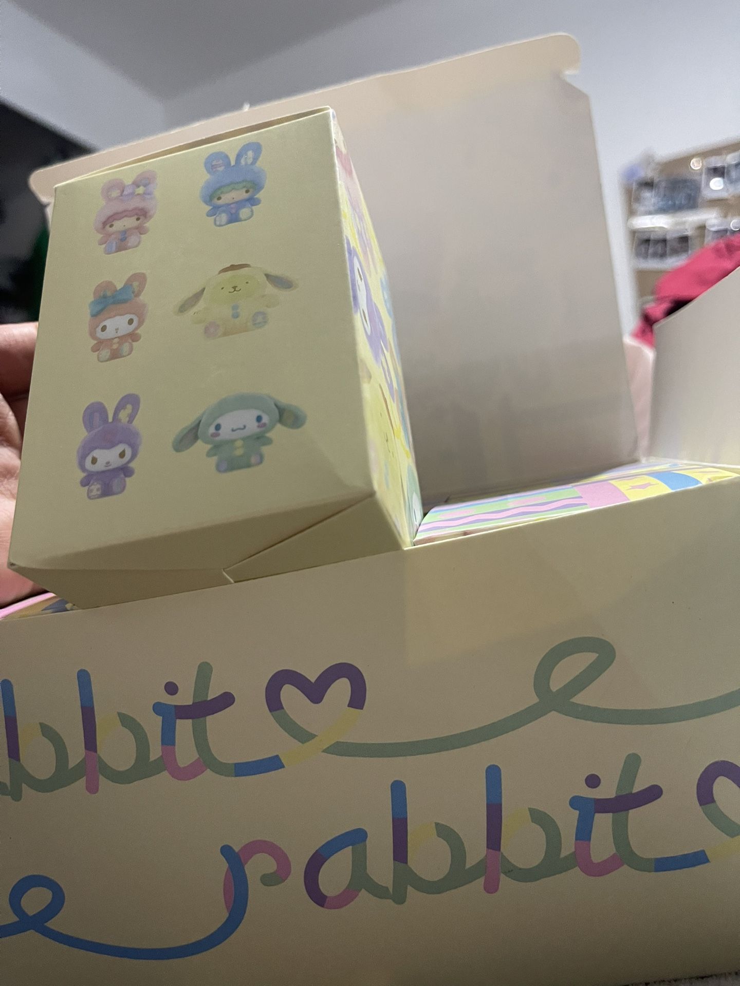 Sanrio And Friends Mystery Boxes