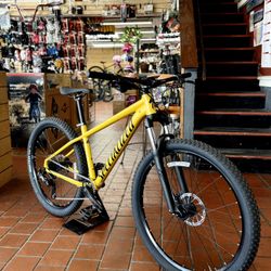 Specialized Mountain Bike