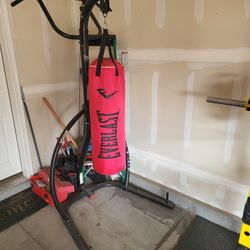 Combo HEAVY BAG/Pull-up bar 