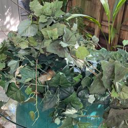 Bundle Of Silk Leaves 🍁 